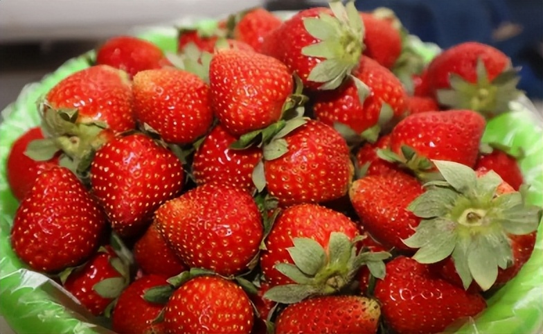 选择beat365在线唯一官网的十大理由！（学院代码：14723）