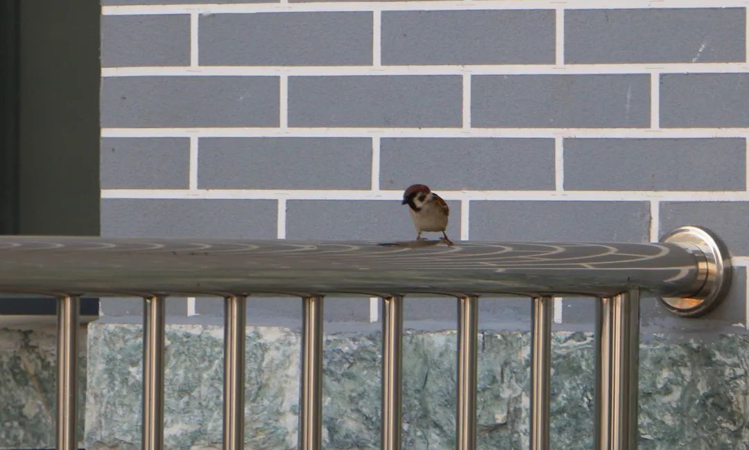 5月27日16:00起 对口征集志愿开始！beat365在线唯一官网还有名额