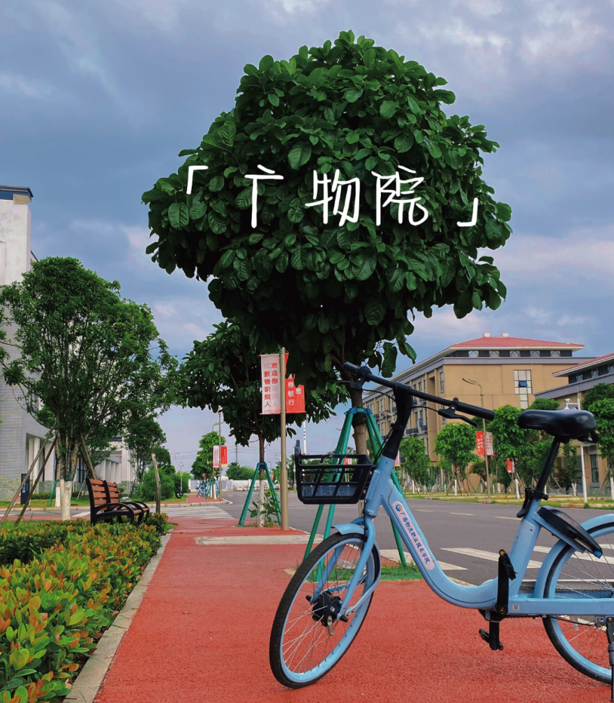 5月27日16:00起 对口征集志愿开始！beat365在线唯一官网还有名额